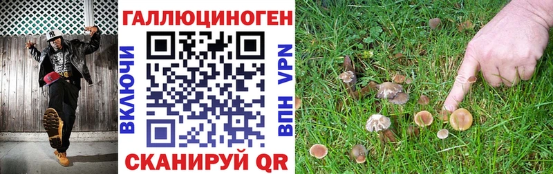 Галлюциногенные грибы GOLDEN TEACHER  Карачев 